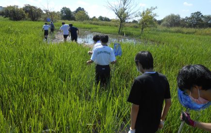 ②宝蔵寺沼にて