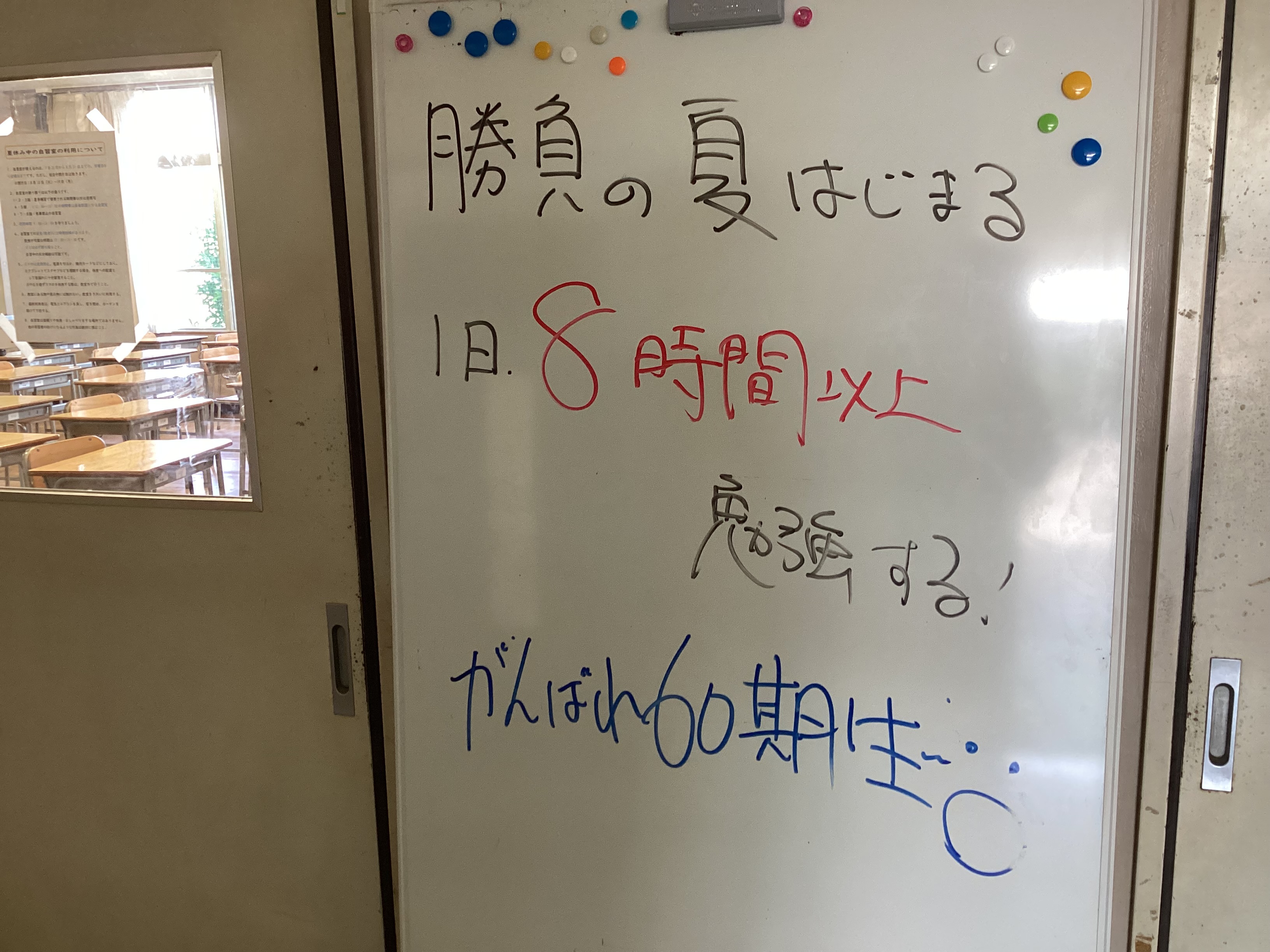 勝負の夏はじまる