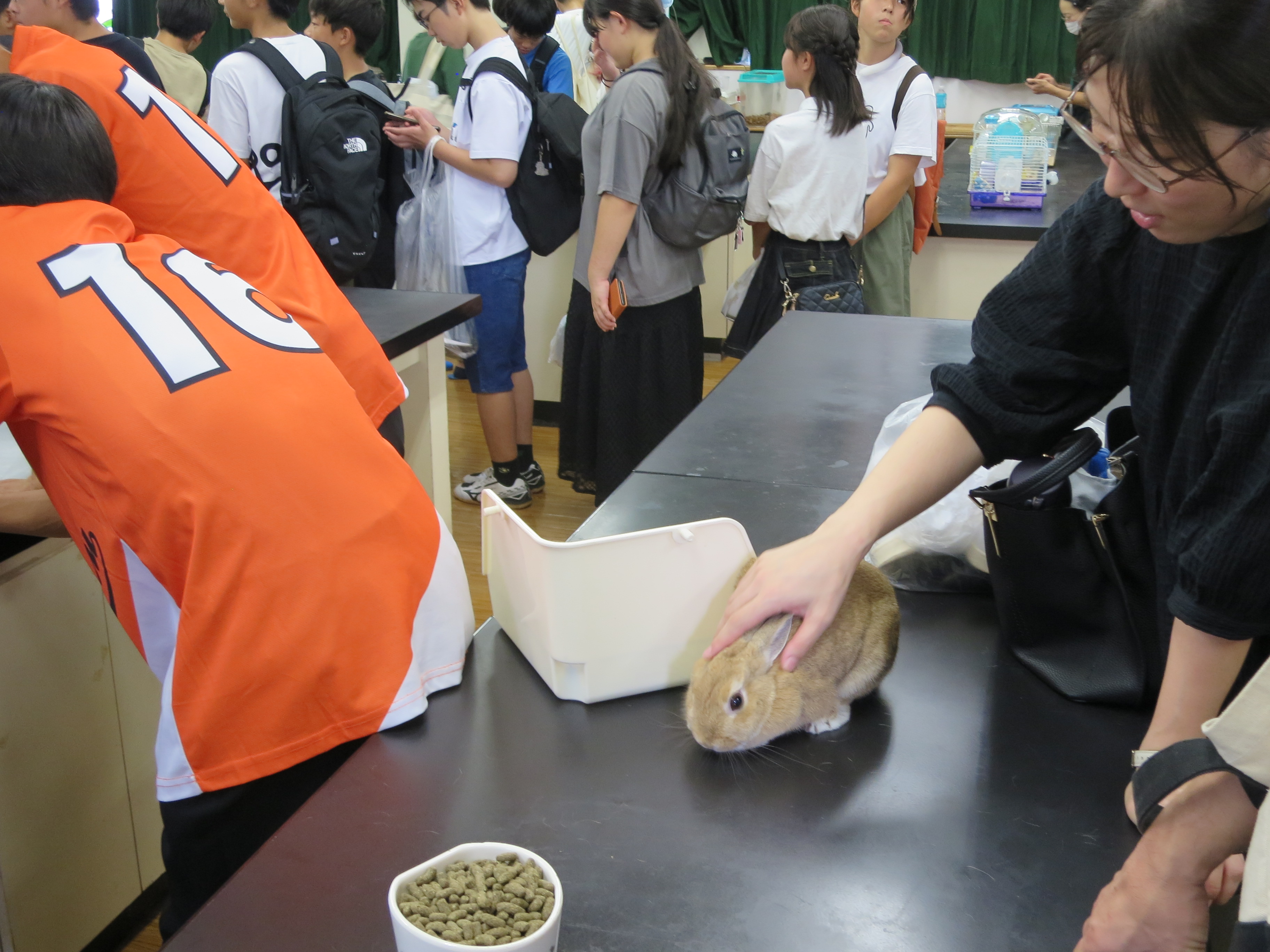 南高祭 動物好きには堪りません