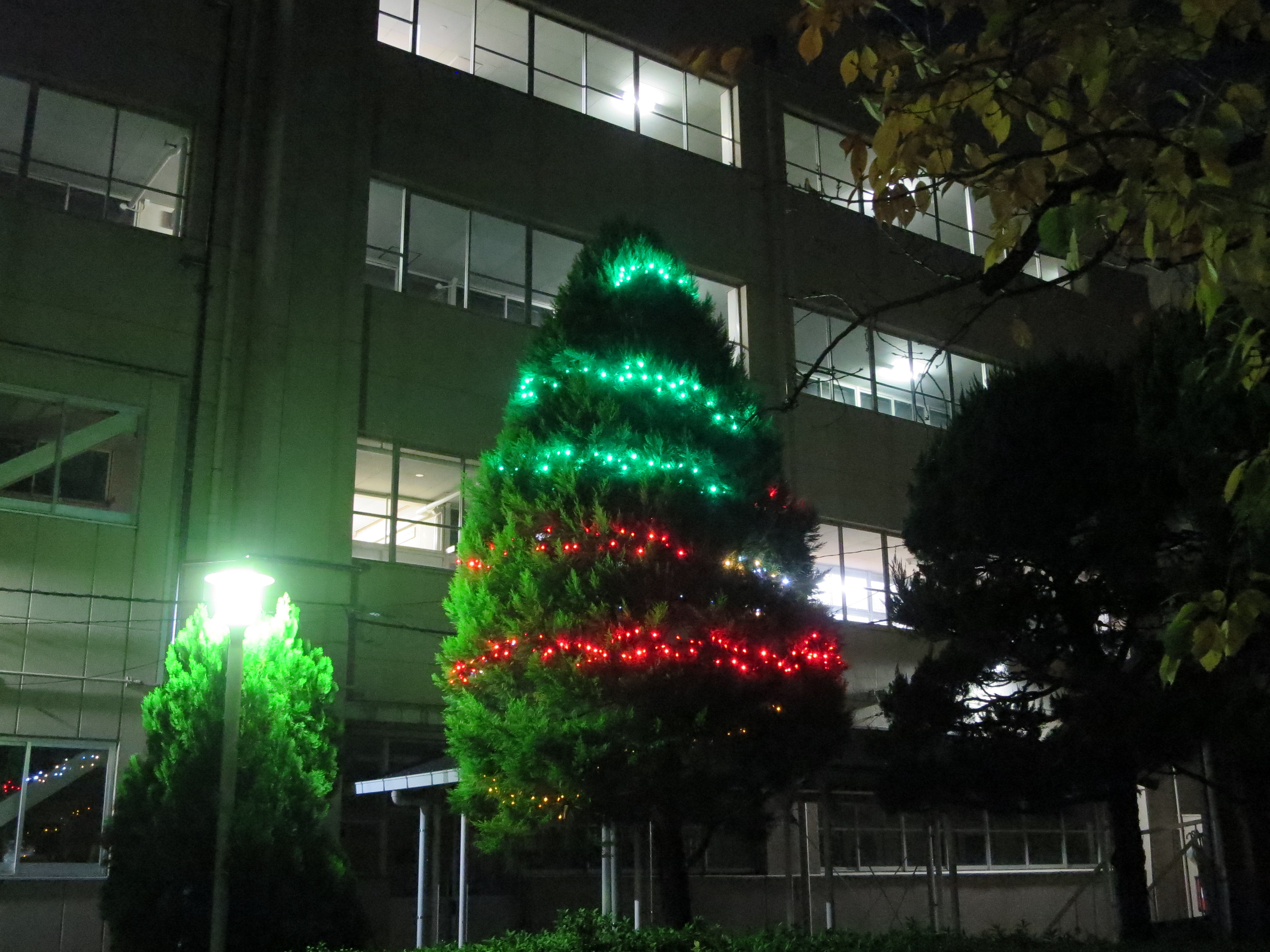 今月はクリスマス！