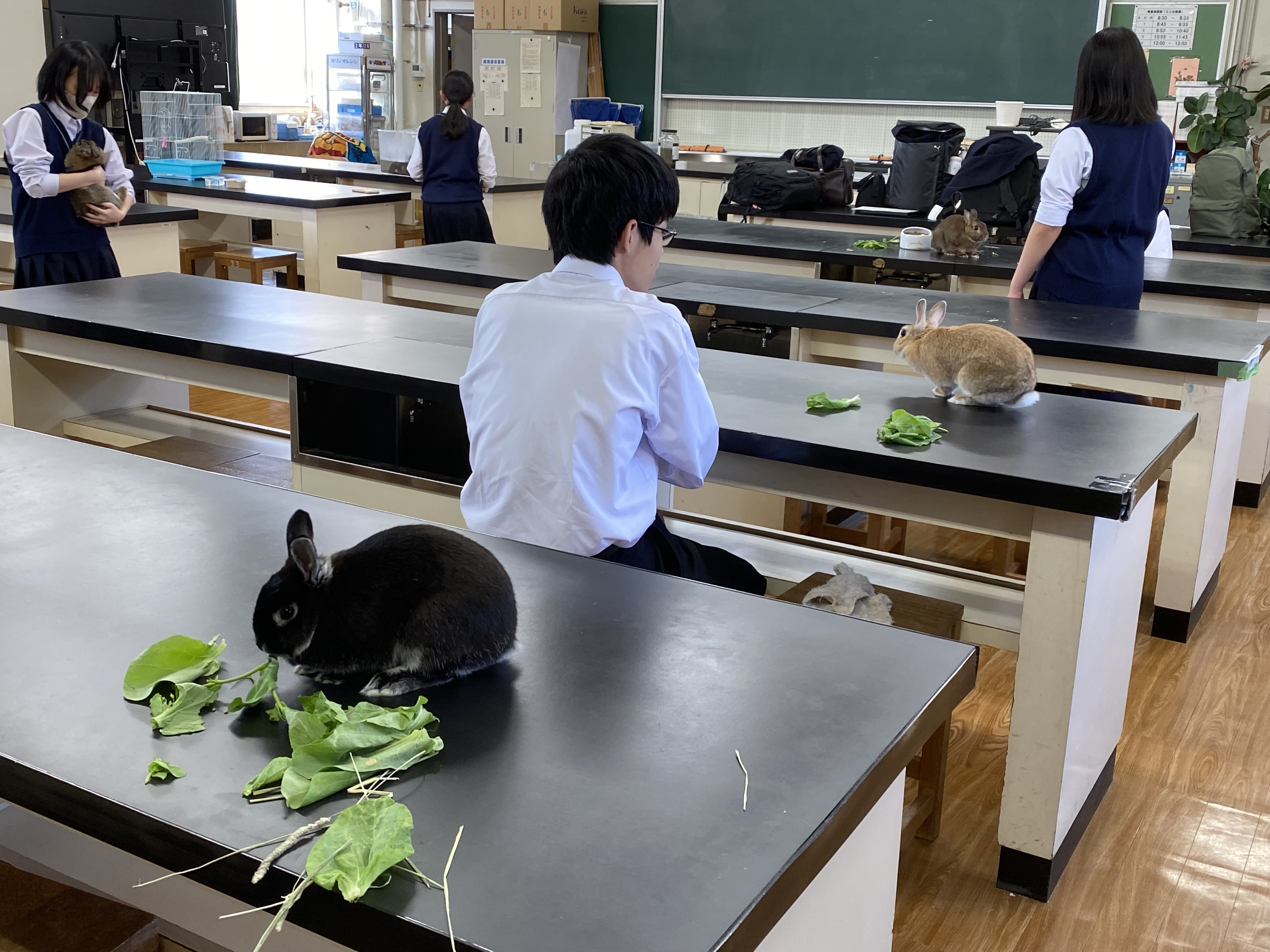 施設紹介No.6　生物実験室