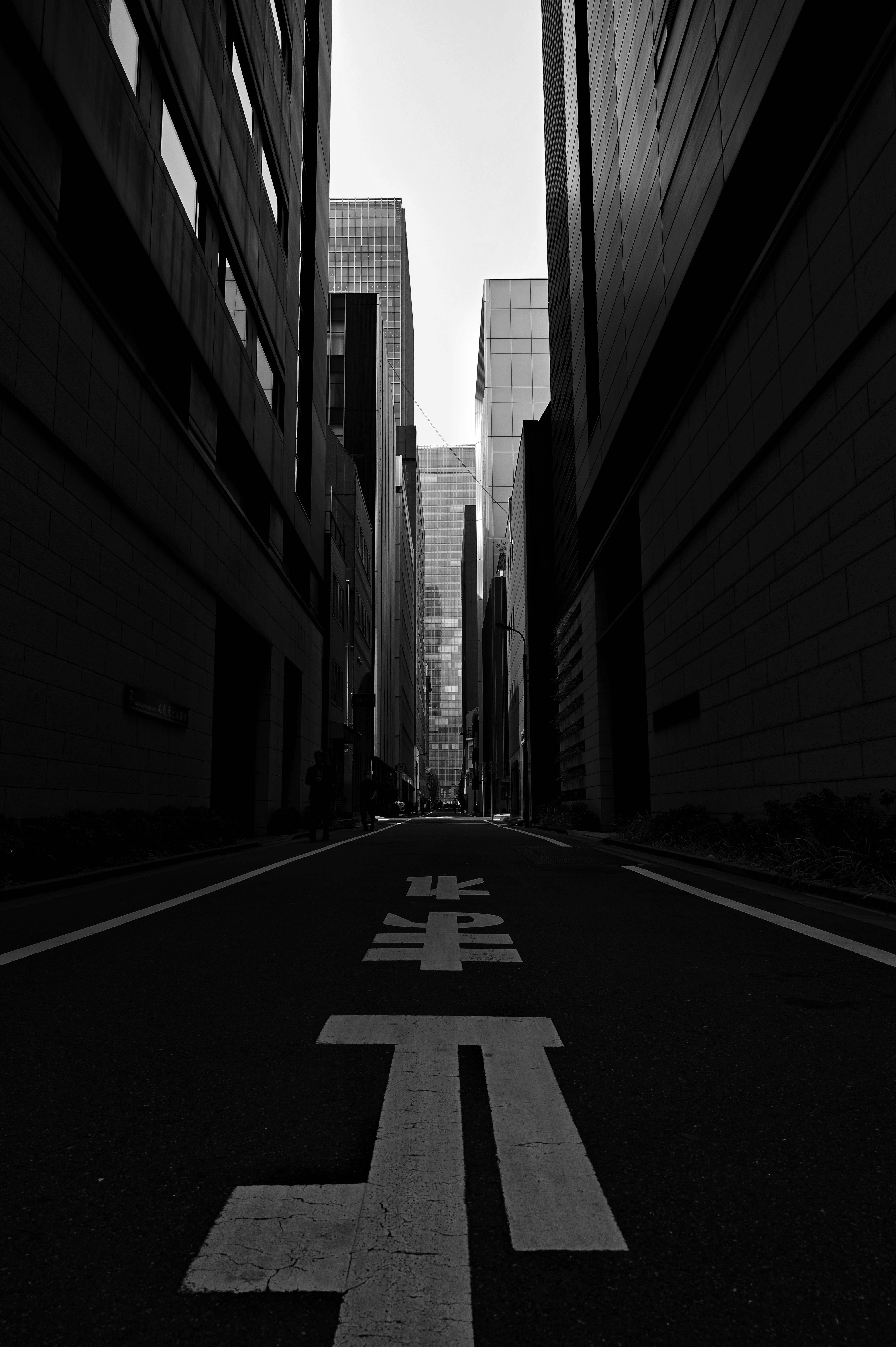 6月展　出品作品