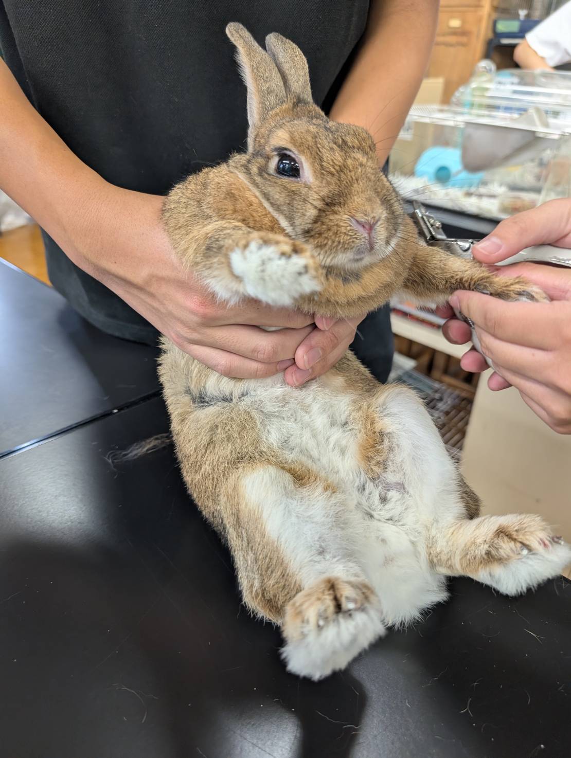 いやいや感満載