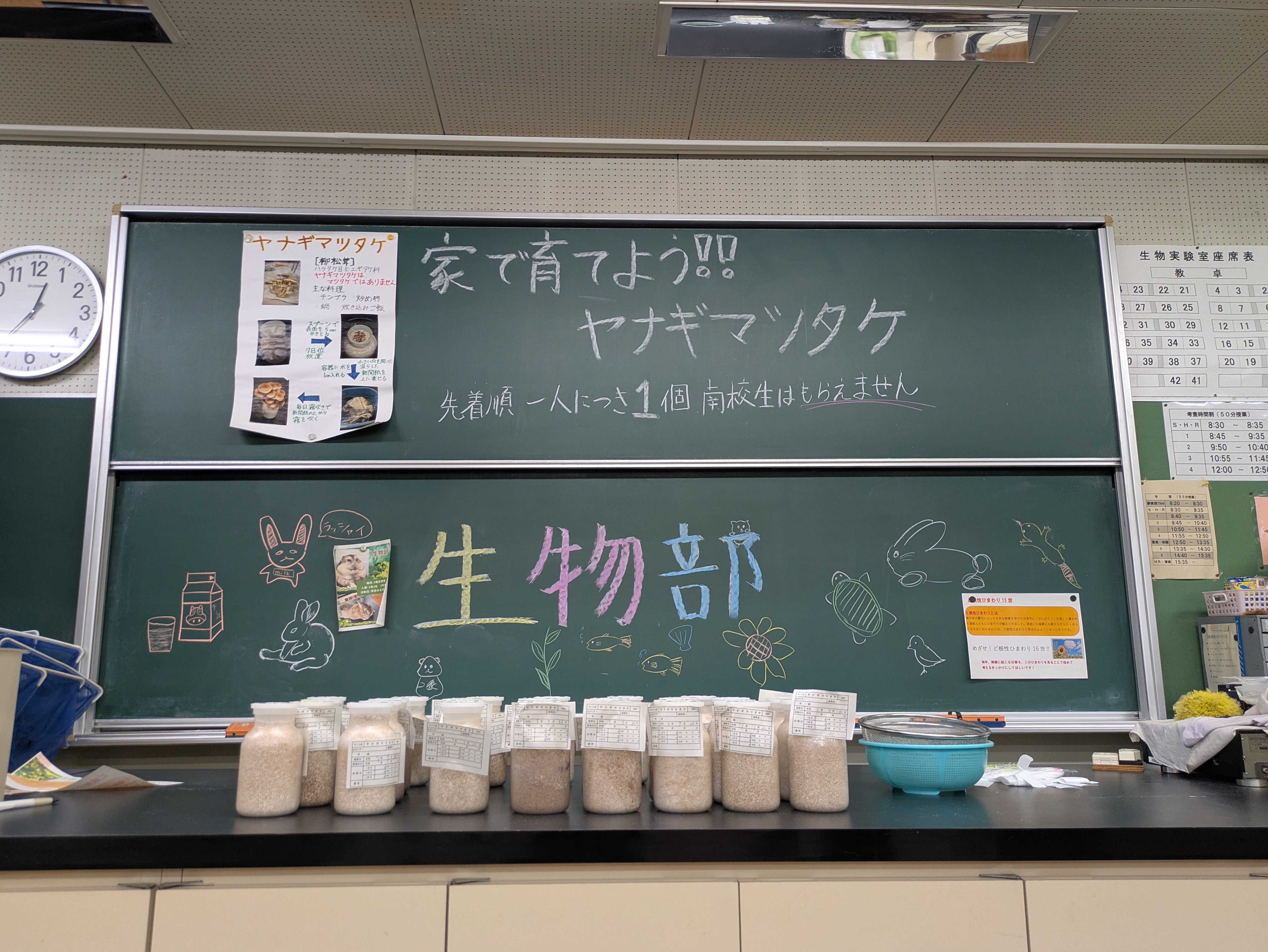 菌糸のまわったブロービンを見てください