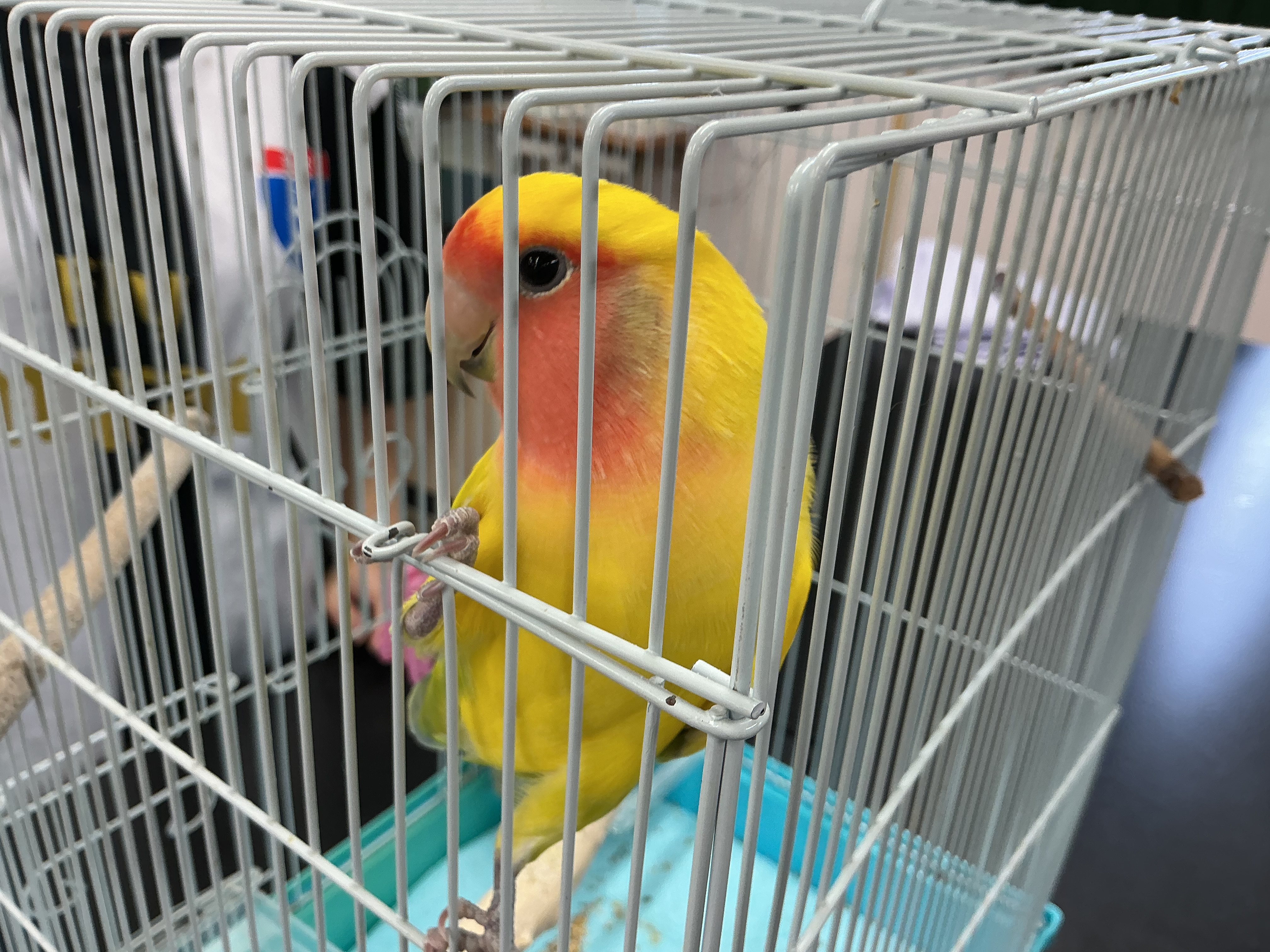 南高祭の様子（４）　生物部