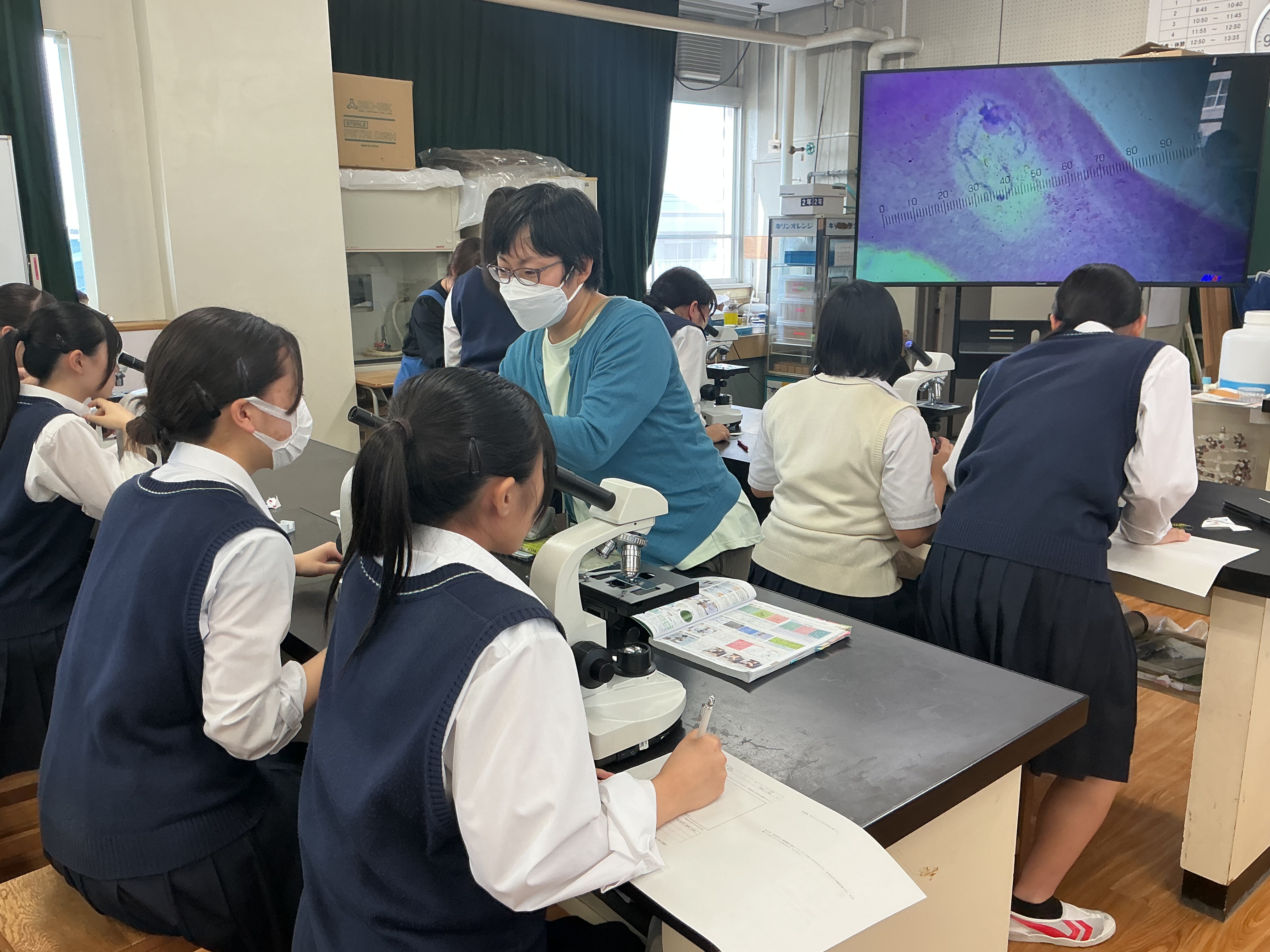 ３年次　生物「染色体の観察」
