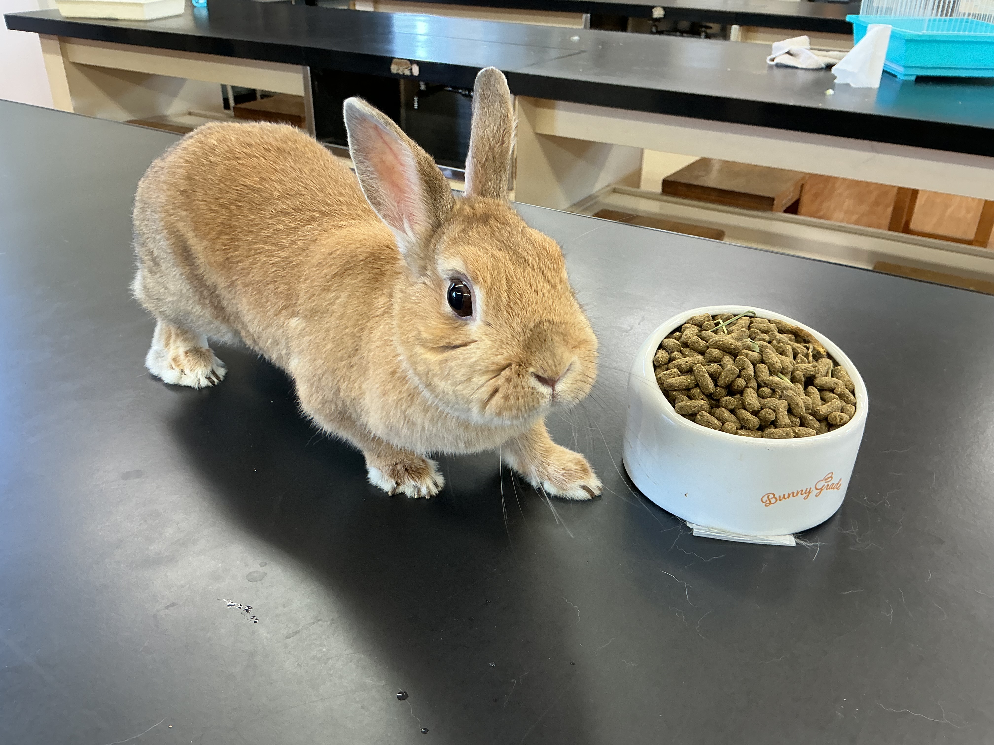 生物部　春休みも元気に活動中！