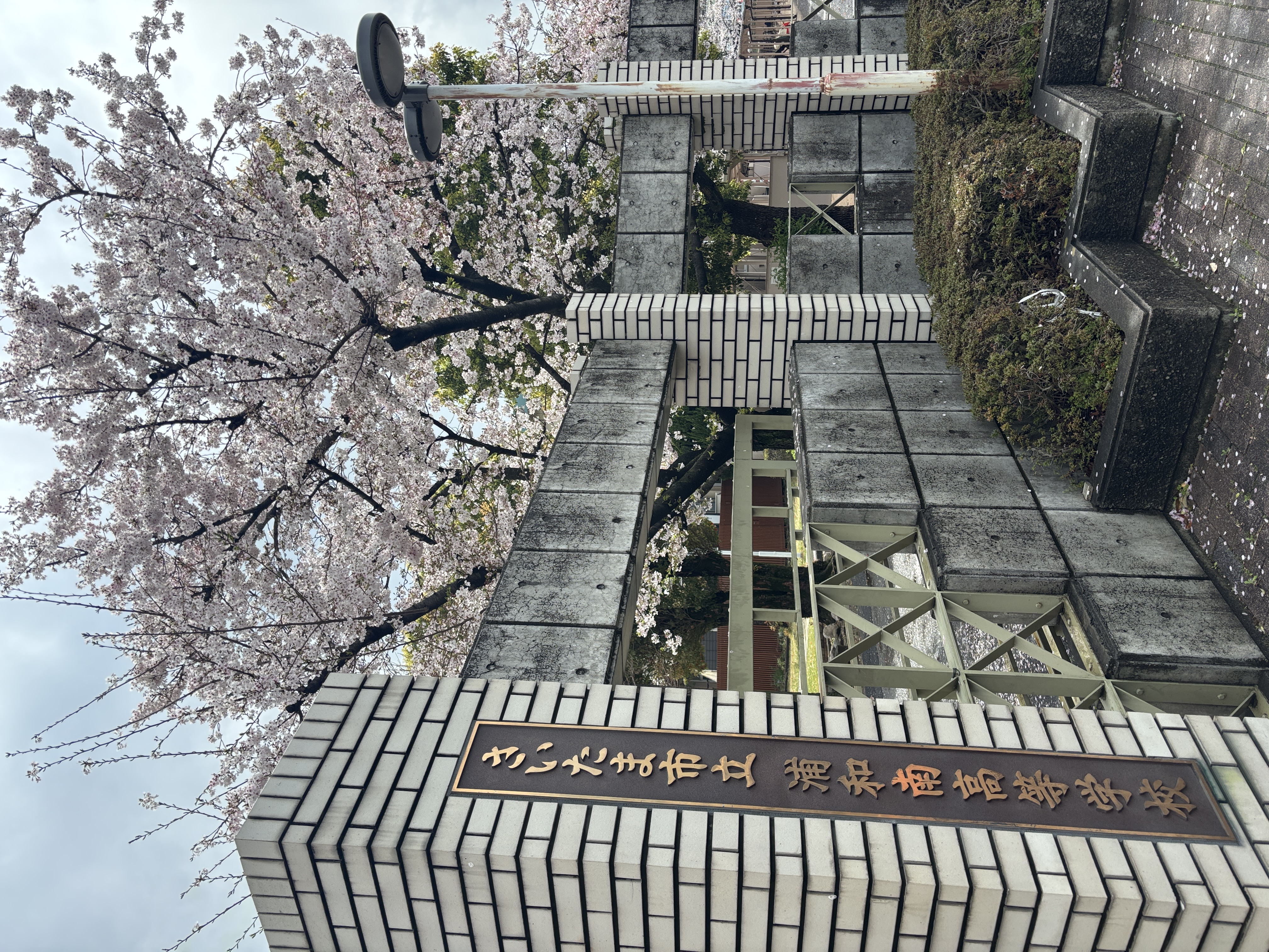 令和８年度になる