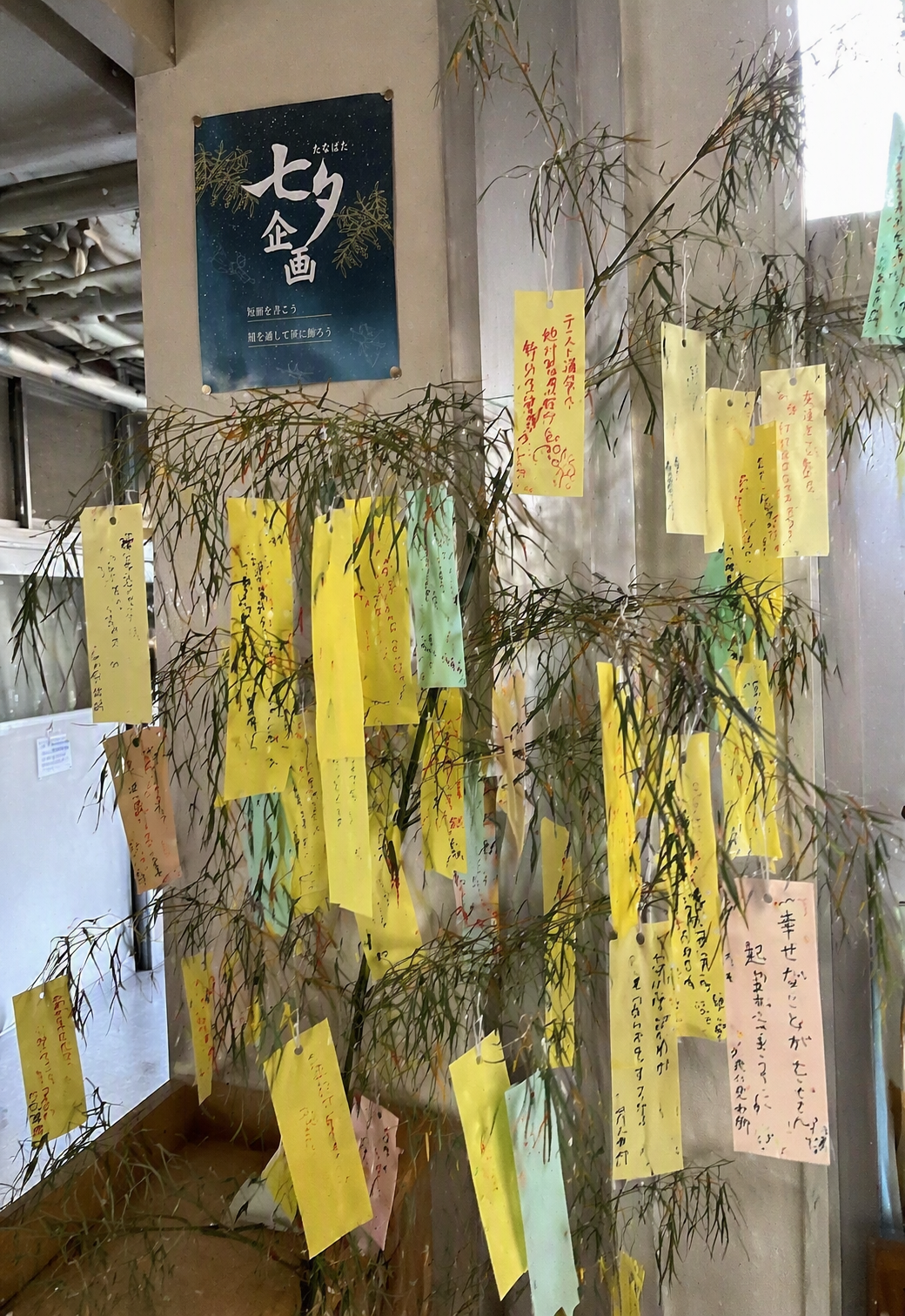 笹の葉に願いを込めて