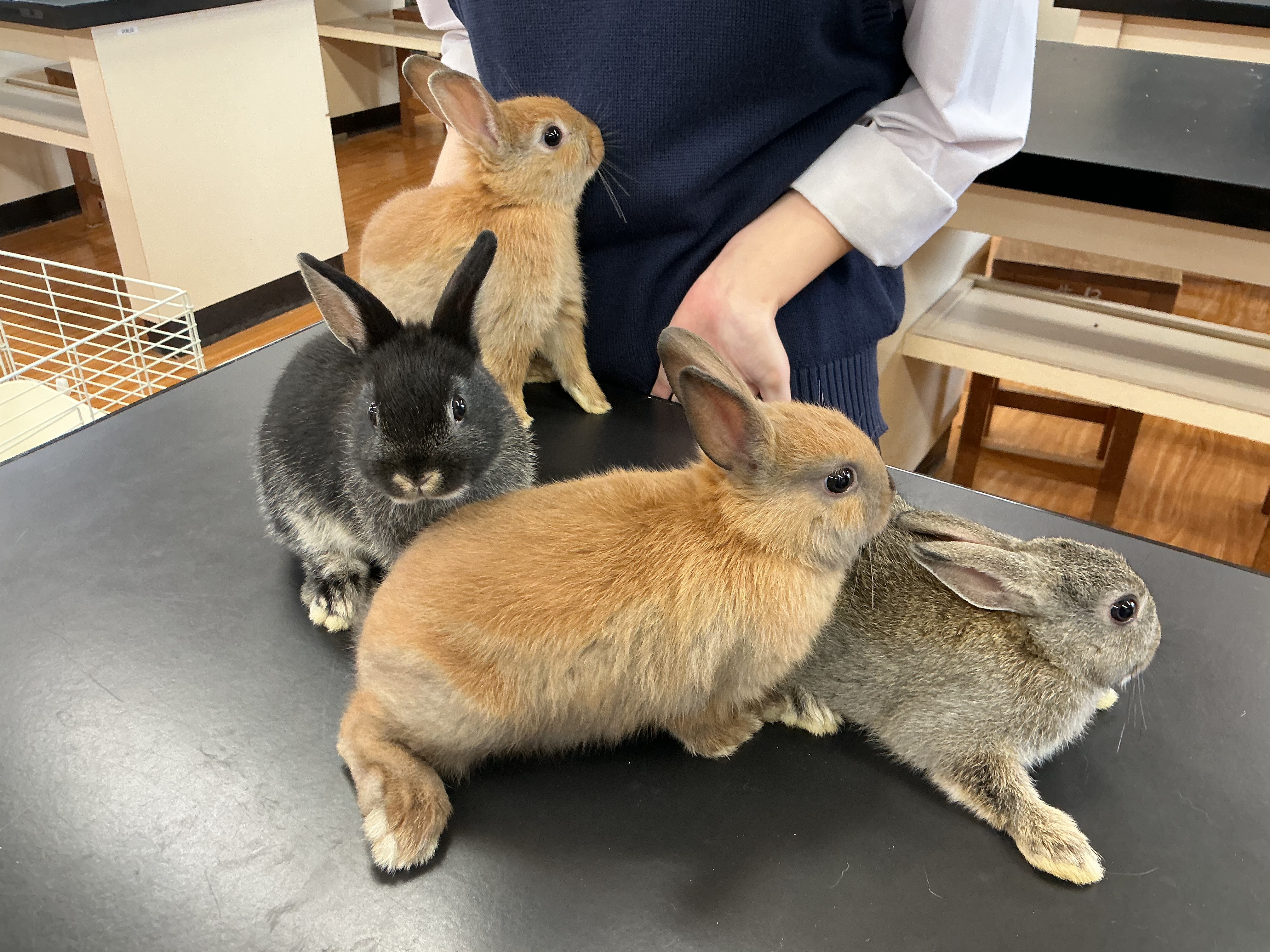 部員にも甘えている様子
