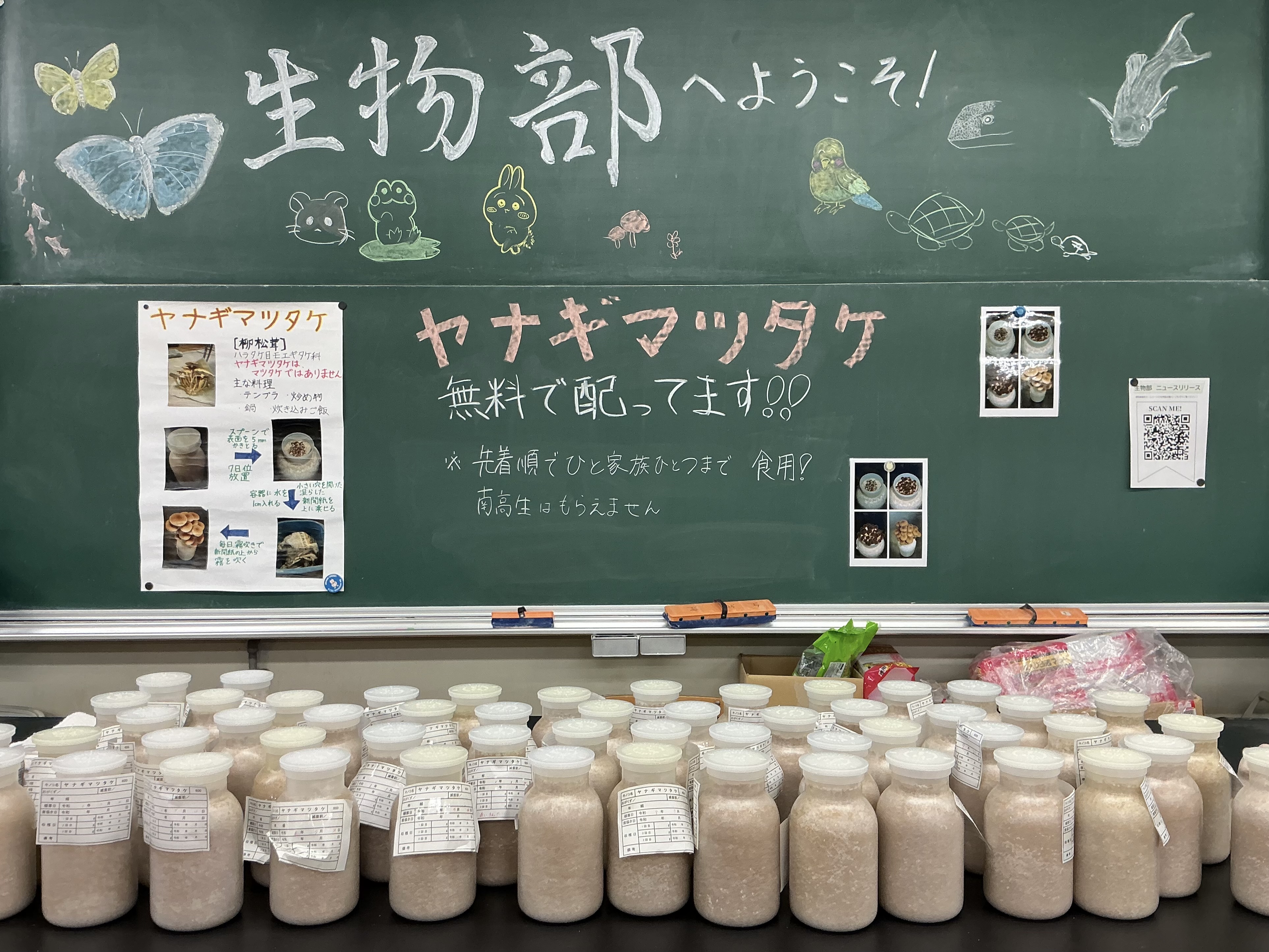 沢山ご用意しました!
