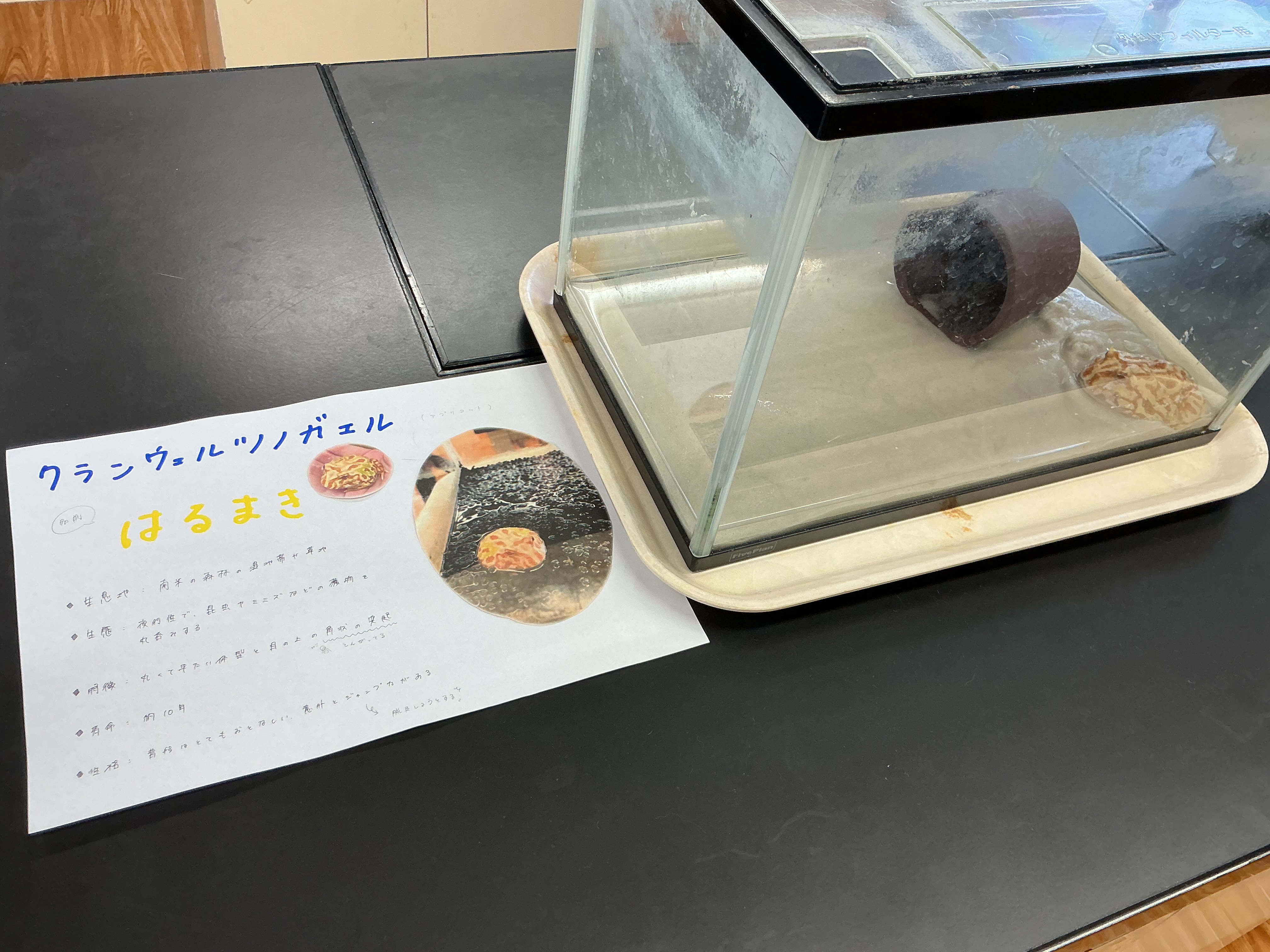 部員の愛情がつまった展示